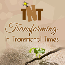 Transforming in Transitional Times (TNT Package)